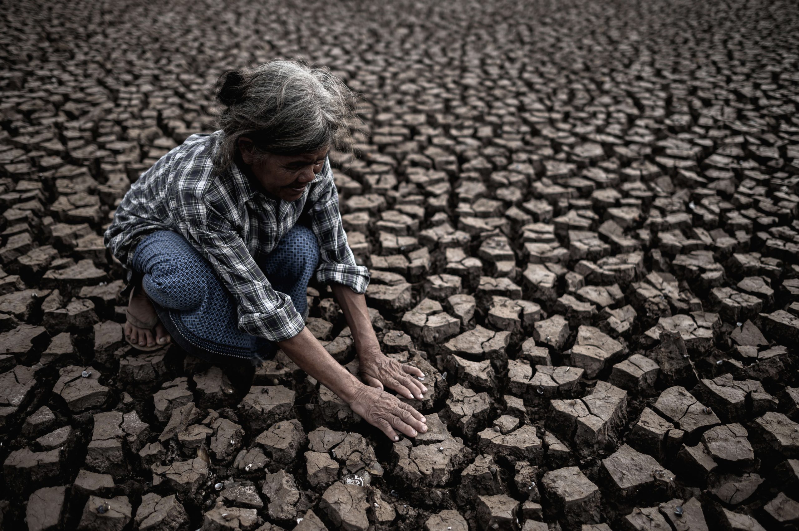 Climate Impact Week